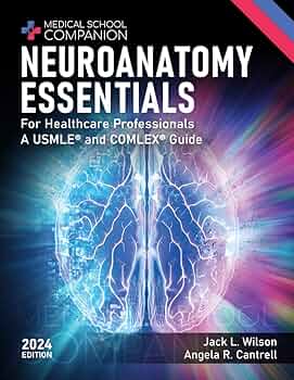 健康・医学 Correlative Neuroanatomy 23rd Edition Correlative Neuroanatomy: 9780838514771: Medicine & Health